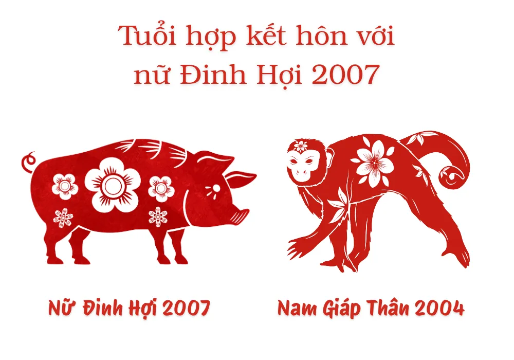 Nữ tuổi Đinh Hợi 2007 và Nam tuổi Giáp Thân 2004
