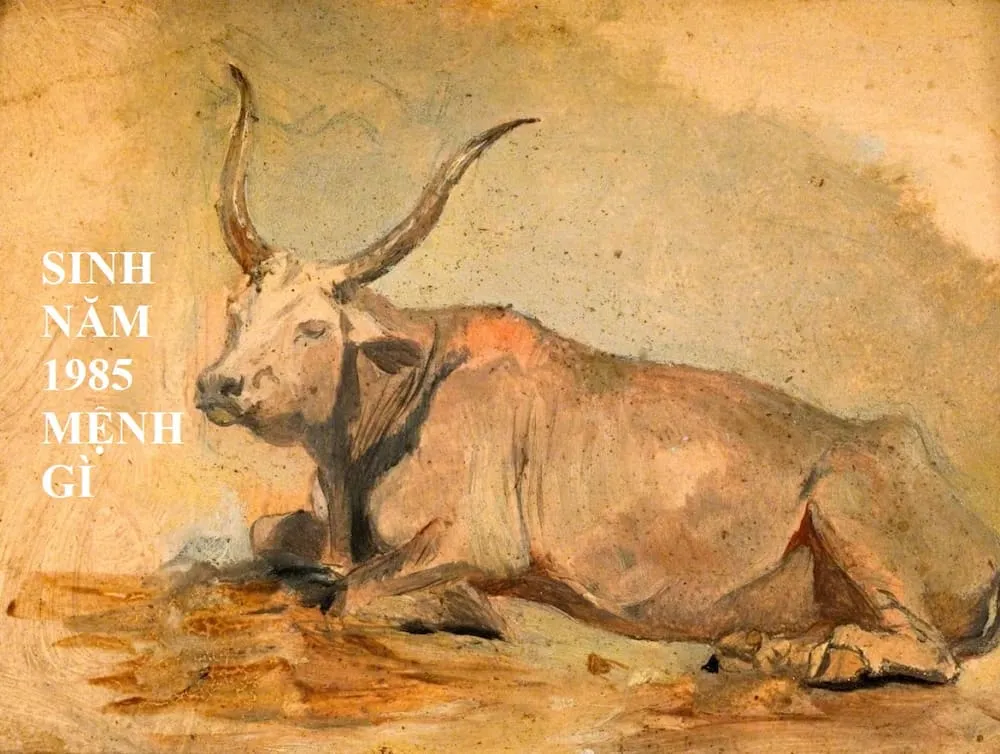 Sinh năm Ất Sửu 1985 thuộc mệnh Kim, nạp âm Hải Trung Kim